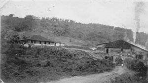 História da Cachaça