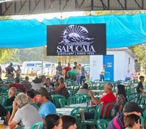 68 festa nossa sra aparecida